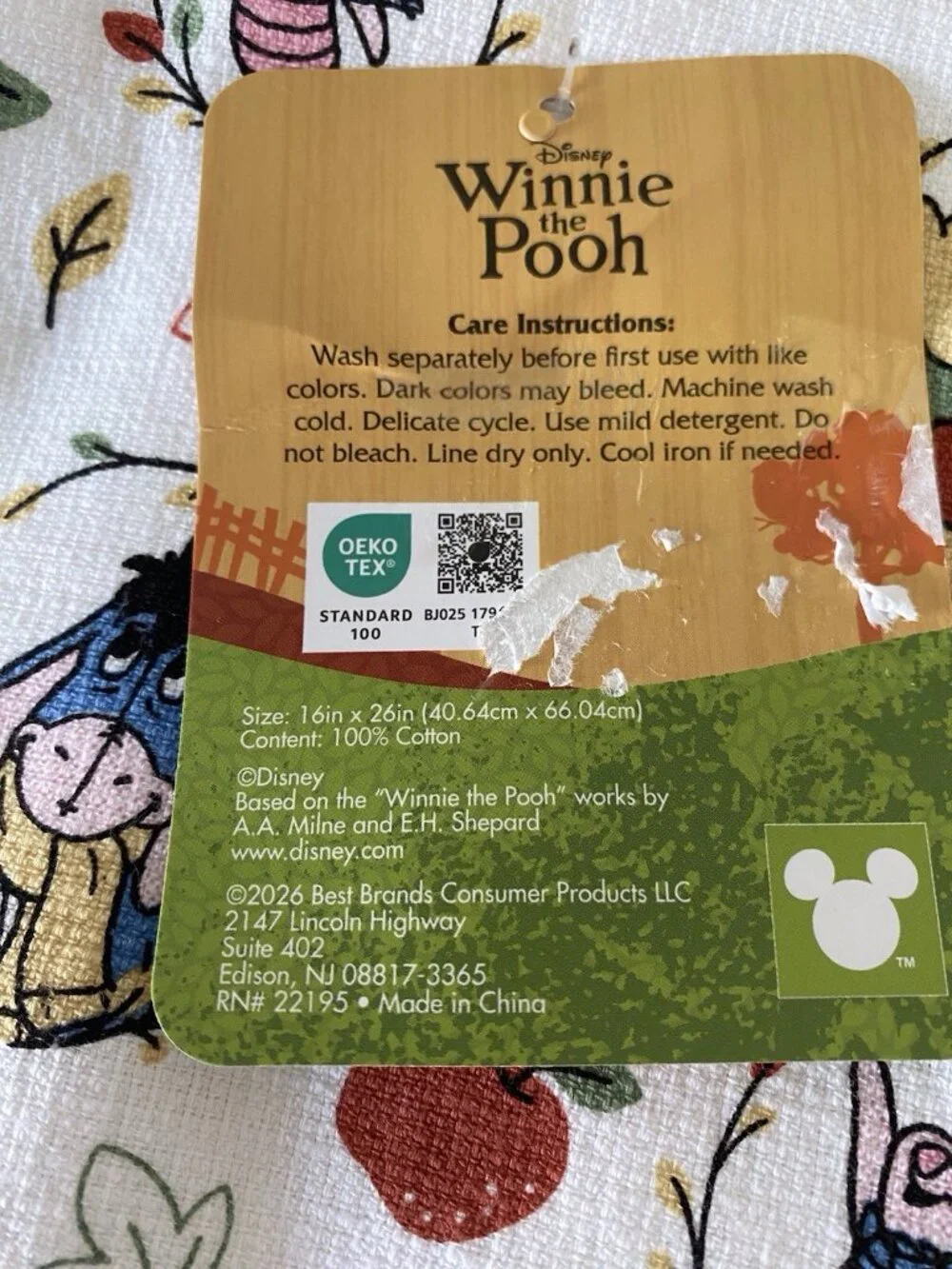Disney pk winnie